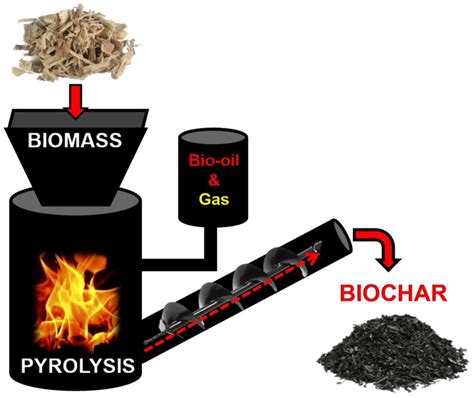 Biochar In Temperate Soils Opportunities And Challenges