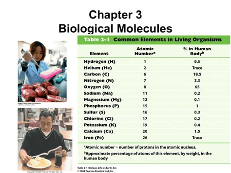 Chapter Biological Molecules