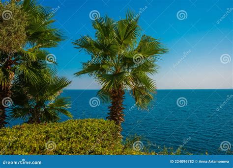 Antalya Turkey Landscape On The Sea And A Palm Tree On A Sunny Summer