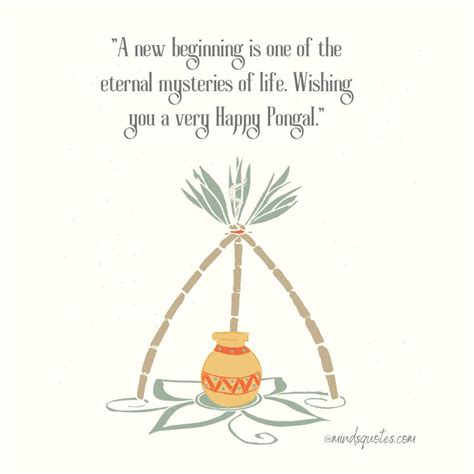 50 Happy Pongal Festival Quotes, Wishes, Messages, Greetings