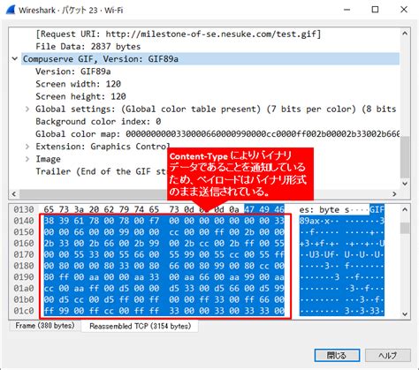 【図解】バイナリとテキストasciiの違いと利点判別 ~fileとnwプロトコルでの扱い~ Seの道標