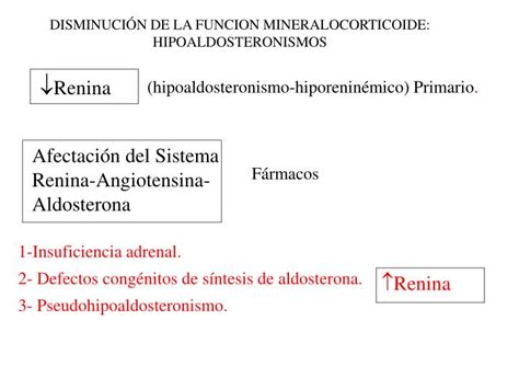 Ppt Hiperaldosteronismo E Hipoaldosteronismo Powerpoint Presentation