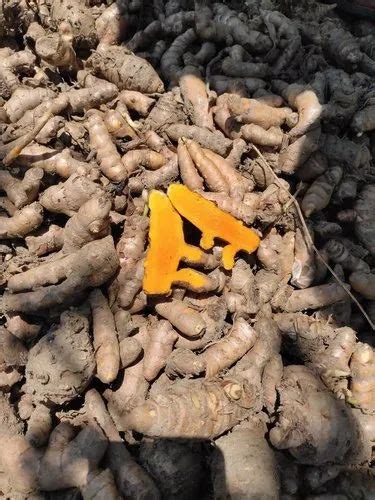 Curcuma Longa Finger Organic Raw Turmeric For Cooking Packaging Size