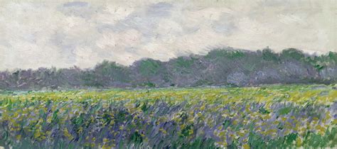 Field Of Yellow Irises At Giverny Claude Monet