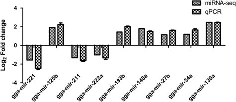 Rt Pcr Confirmation Of The Mirnas In Alv J Infected Dcs Eight Mirnas