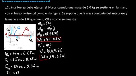 Cuánta fuerza debe ejercer el bíceps cuando una masa de 5 0kg se