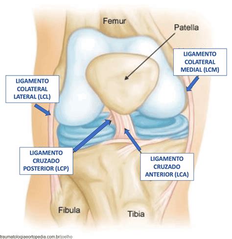 Lesão Do Ligamento Colateral Medial No Joelho E Tratamentos Dr Márcio Silveira