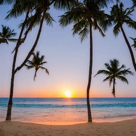 Sunset On A Beach With Palmtrees And White Sand Stable Diffusion