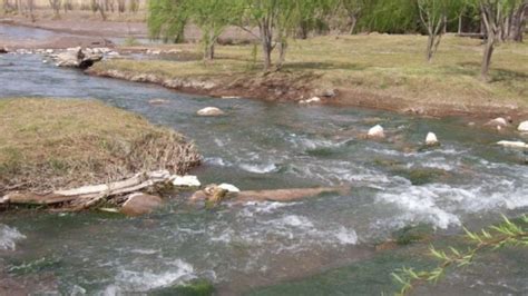 Procesan A 42 Personas Por Incumplir El Protocolo En Un Camping De San