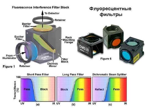 Световая микроскопия Изобретение микроскопа Роберт Гук Robert