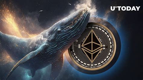 Mysterious Whale Pulls 6 030 Ethereum ETH From Exchange As Price Eyes