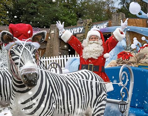 Lions Giraffes Dinosaurs And Santa Our Review Of Santa Safari And