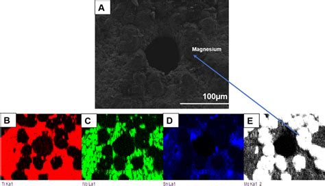 A Typical Sem Micrograph Of Tinbsn Alloy Be Elemental Map Of Ti Nb