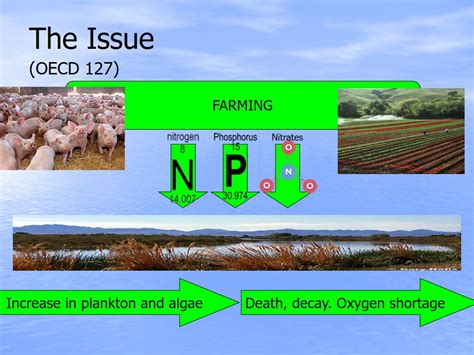 The Reduction Of Agricultural Nutrient Pollution Possible Solutions