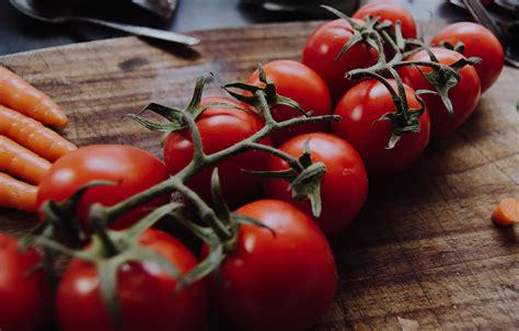 Growing Green: How urban farming can make you healthier and wealthier ...