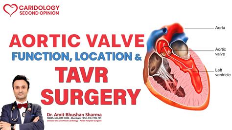 Aortic Valve Function Location Tavr Surgery Dr Amit Bhushan