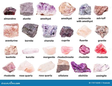 Conjunto De Varios Minerales Rosados Sin Pulir Con Nombres Foto De