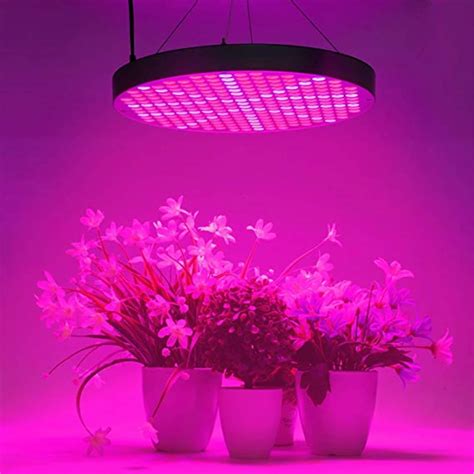 50W LED Plant Grow Lights UFO 250 LEDs Indoor Plants Growing Lamp with Red Blue Spectrum ...