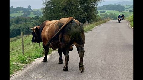 Picos De Europa Motorcycle Touring Oct 2022 N621 To Potes YouTube