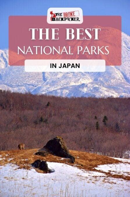 7 STUNNING National Parks in Japan