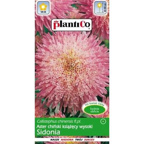 Aster Sidonia Karminowy 1g Standard Rolno Ogrodniczy Pl