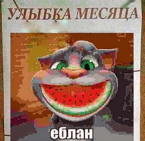 том. арбуз. ЕБЛАН | Crazy funny pictures, Really funny memes, Memes