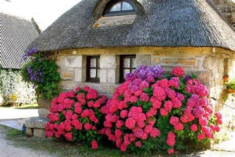 Maravillosas Fachadas Decoradas Con Flores Jardines Flores Bonitas