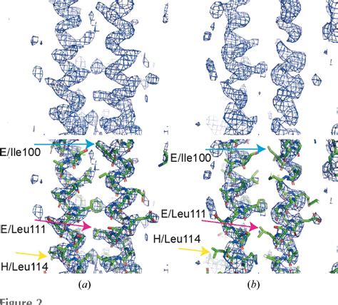 Figure 1 From Structural And Biophysical Characterization Of The Borna