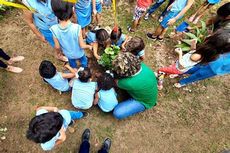 Semana Do Meio Ambiente Emater Promove A Es De Preserva O Da