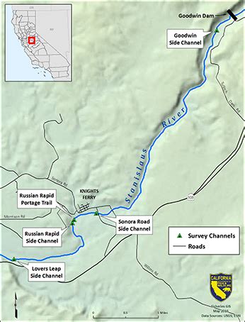 Stanislaus River Salmonid Stranding Survey and Rescue