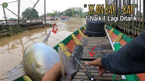 Jiwa Mancing Ku Meronta Ronta Joran Di Buat Tak Berkutik Youtube