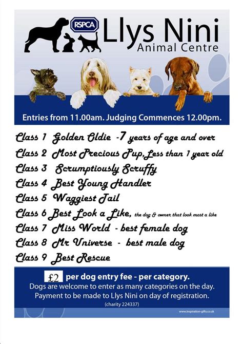 What Are The Dog Show Categories