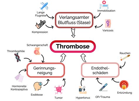 medi  die interaktive lernplattform fur medizinstudierende arzt
