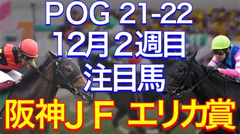 【pog21 22】12月2週目デビューの注目新馬を紹介【ついにgⅠ 阪神jf！豪華メンバーのエリカ賞も注目！】 Youtube