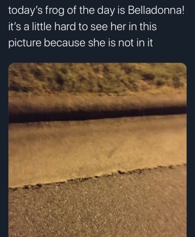 Post Planet Of The Damn Gay Apes Tumblr Tumbex