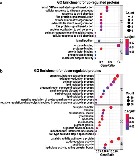 Bubble Diagrams Of The Gene Ontology Go Enrichment Analysis For The