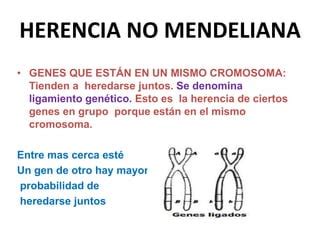 Herencia Mendeliana PPT