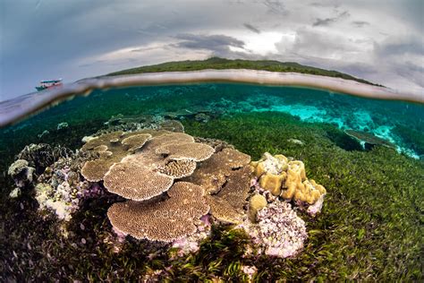 A deep dive into the legendary career of sandy pflueger today 15