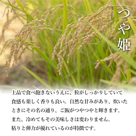 【楽天市場】【ふるさと納税】【令和7年産 先行予約】鶴岡協同ファームの特別栽培米 つや姫 選べる容量・精米種類 5kg～10kg・精米 又は