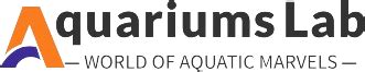 What Is Biofilm In Aquarium A Comprehensive Guide To Understanding And