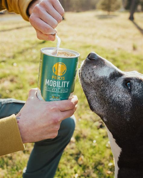 How to Choose the Best Bone Broth for Your Dog’s Health – Fido's Bone Broth