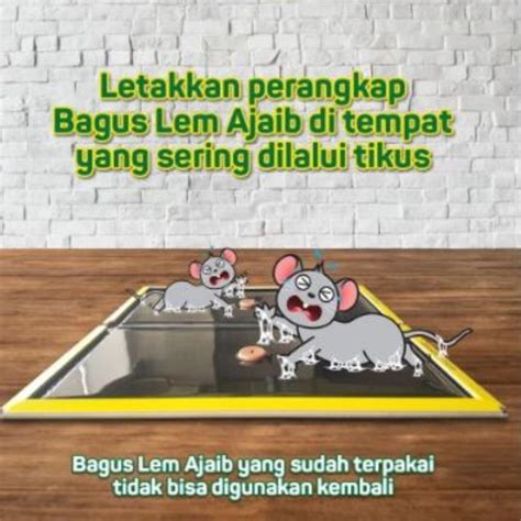 Jual Lem Tikus Cap Gajah Bagus Lem Ajaib Perangkap Tikus Lem Papan