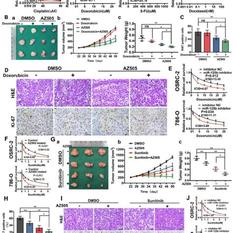 Identification Of MiRNAs Correlated With SMYD2 Inhibition A The