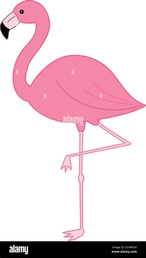 Flamingo Bird Standing On One Leg Vector Illustration Isolated On White Background Stock Vector