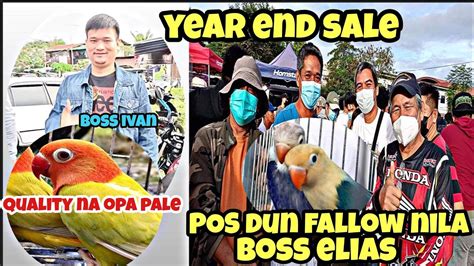 Bocaue Pet Marketyear End Sale Quality Green Opa Pale Ni Boss Ivan Pos