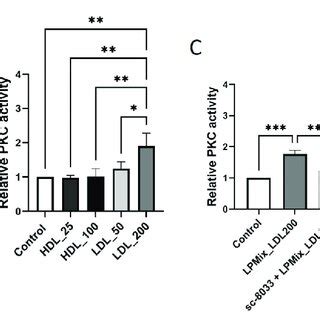 LDL Increases PKC Activity In Endothelial Cells A B PKC Activity Was