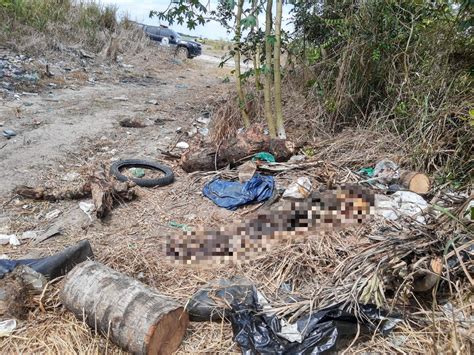 Corpo Encontrado Em Penedo Pode Ser De Jovem Desaparecida H Oito Dias