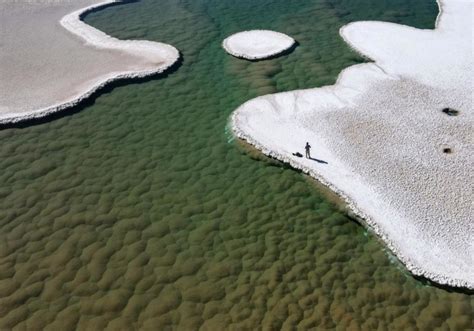 Descubren En Las Profundidades De Un Desierto Argentino Un Ecosistema