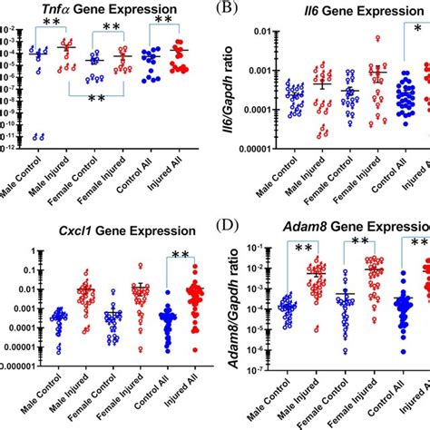 Pro‐inflammatory Gene Expression In The Injured Mouse Tail