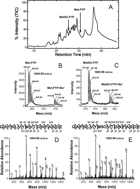 Lc Ms Ms Identification Of Metso At Position In Vwf Purified From